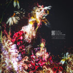 Reignitionジャケットイメージ