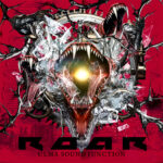 ROARジャケットイメージ